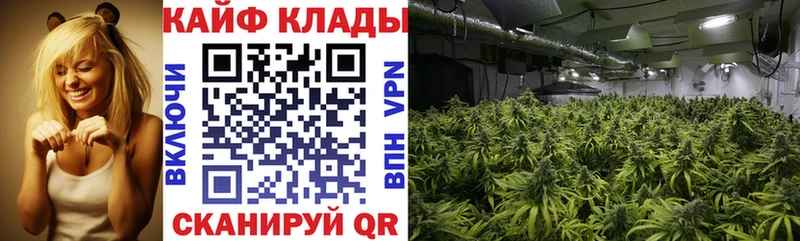 Купить наркотики Болохово Alpha-PVP  МЕФ  ГАШИШ  Марихуана 