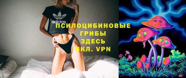 spice Михайлов