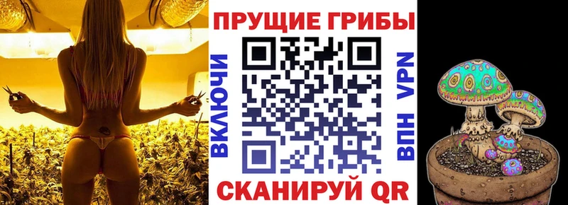 Псилоцибиновые грибы мухоморы  купить  цена  Болохово 